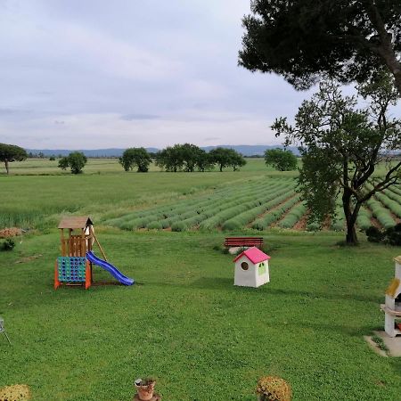 Agriturismo Susanna E Atria Bibbona Eksteriør bilde