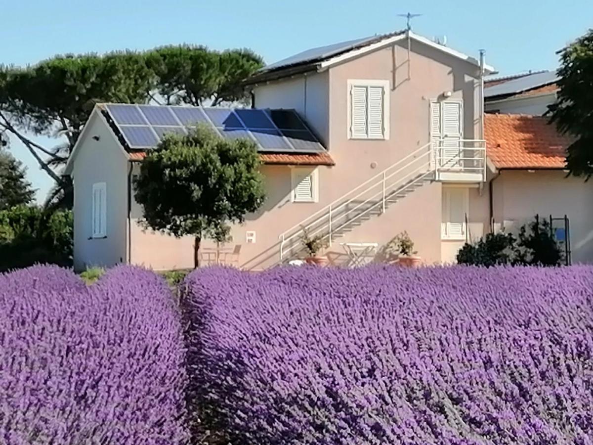 Agriturismo Susanna E Atria Bibbona Eksteriør bilde