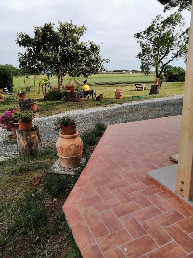 Agriturismo Susanna E Atria Bibbona Eksteriør bilde