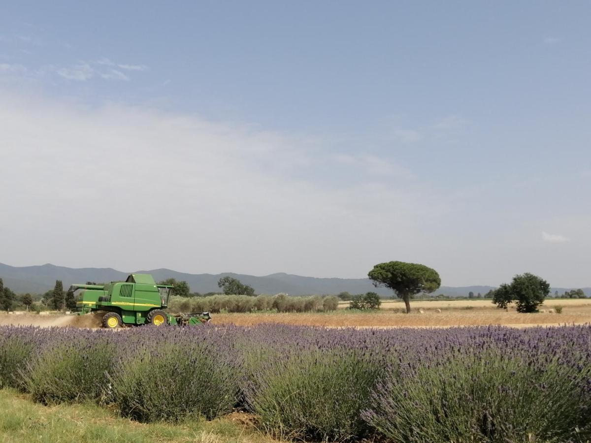 Agriturismo Susanna E Atria Bibbona Eksteriør bilde