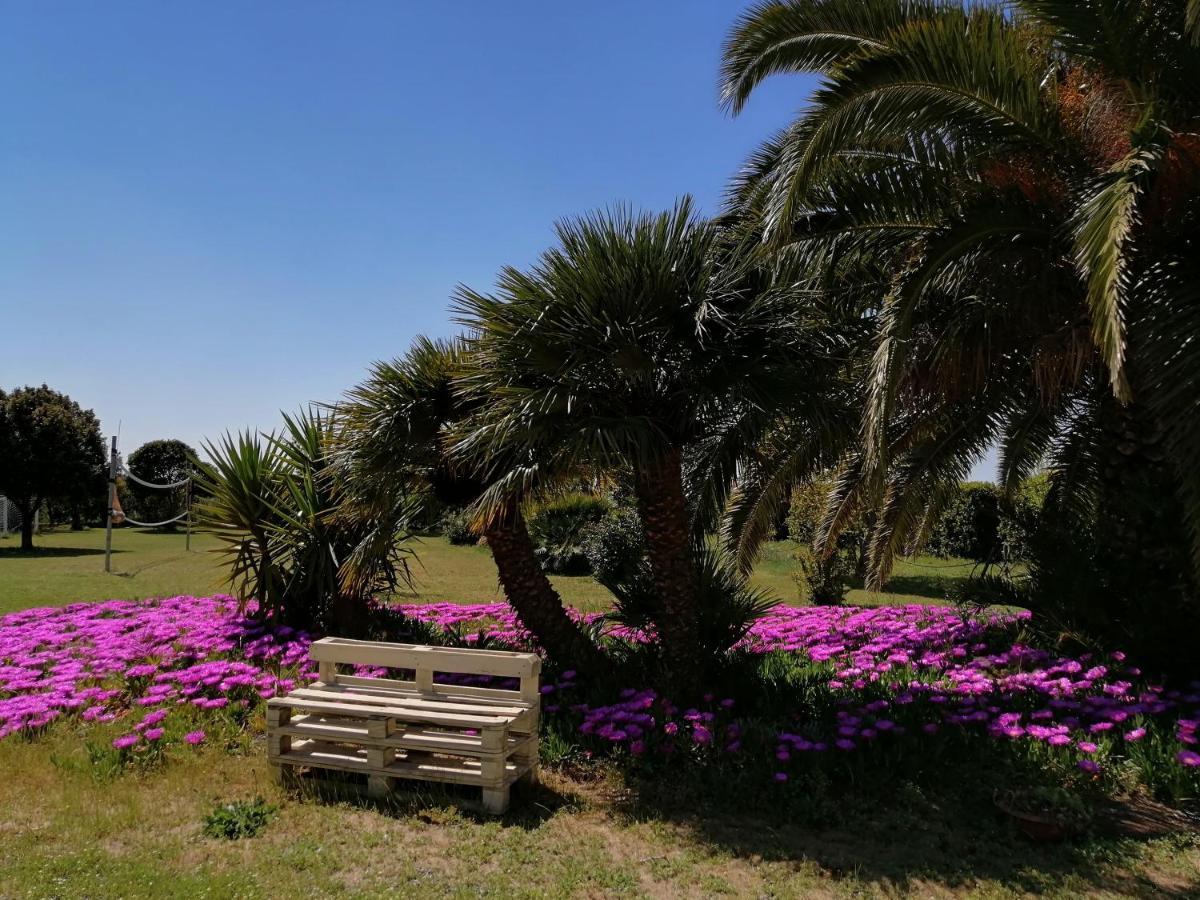 Agriturismo Susanna E Atria Bibbona Eksteriør bilde