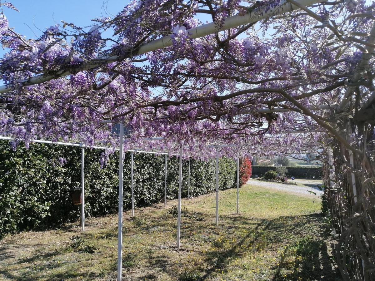 Agriturismo Susanna E Atria Bibbona Eksteriør bilde